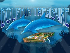 Dolphin Treasure logo