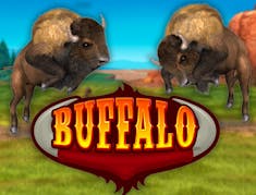 Buffalo Bingo logo