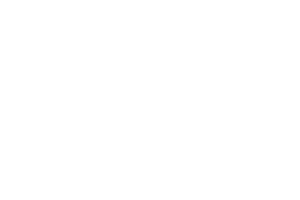 Octavian Gaming logo