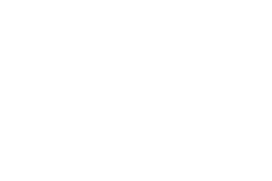 QuickSpin logo