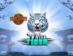 White Tiger: Sky Gods logo
