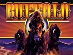 Buffalo stampede logo