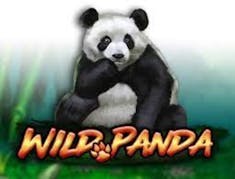 Wild panda logo